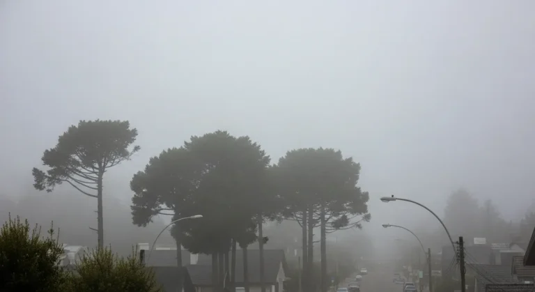 Gramado – RS lança monitoramento para prevenção de desastres climáticos