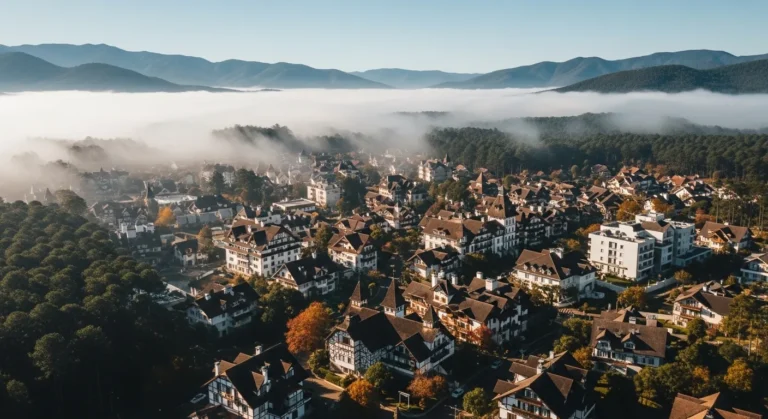 Gramado – RS lança acesso digital ao acervo do Museu Várzea Grande Gramado – RS lança acesso digital ao acervo do Museu Várzea Grande