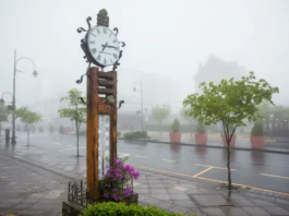 Canela - RS se prepara para o 1º Fórum Municipal de Mudanças Climáticas